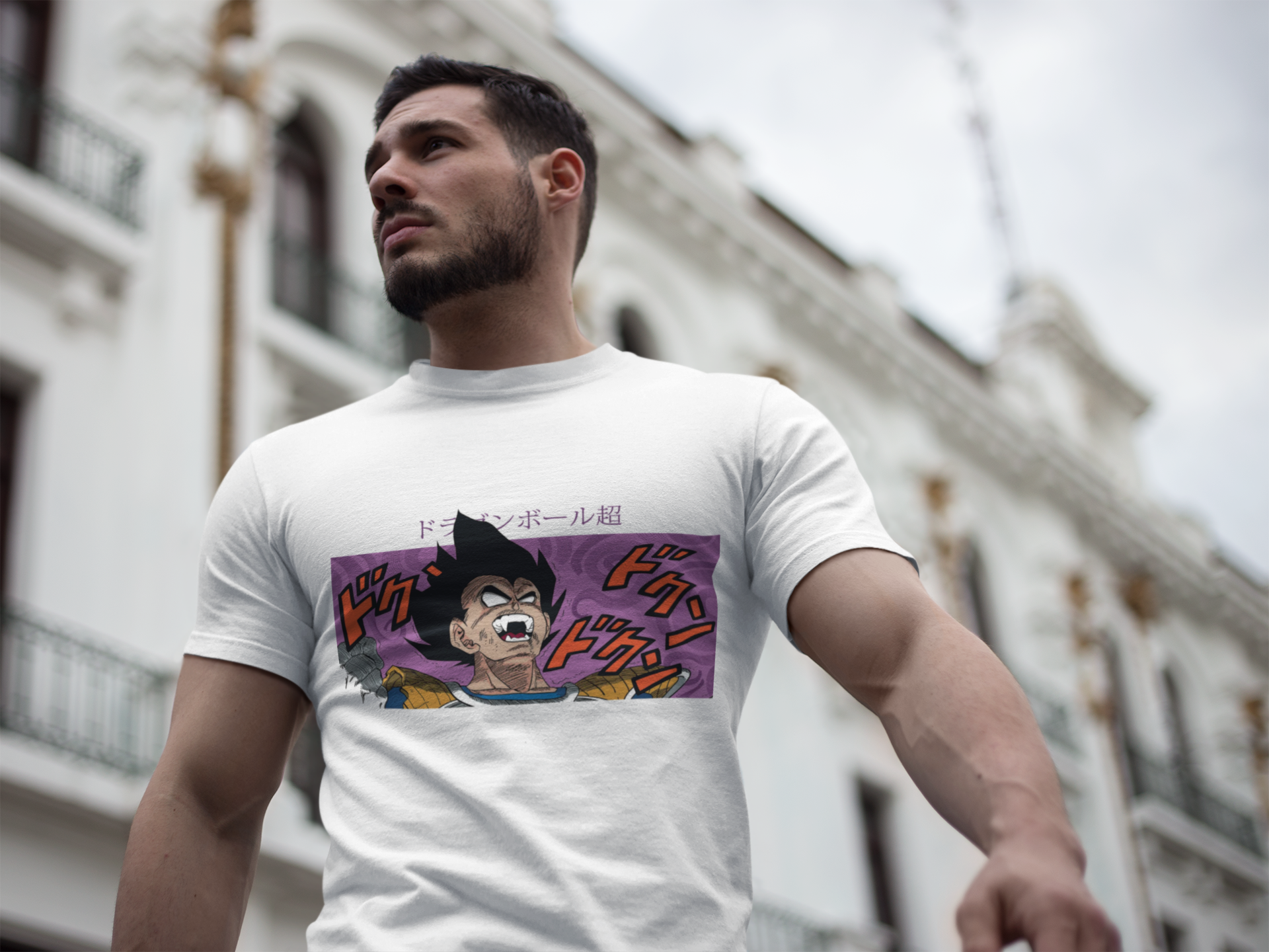 Dragon Ball Vegeta